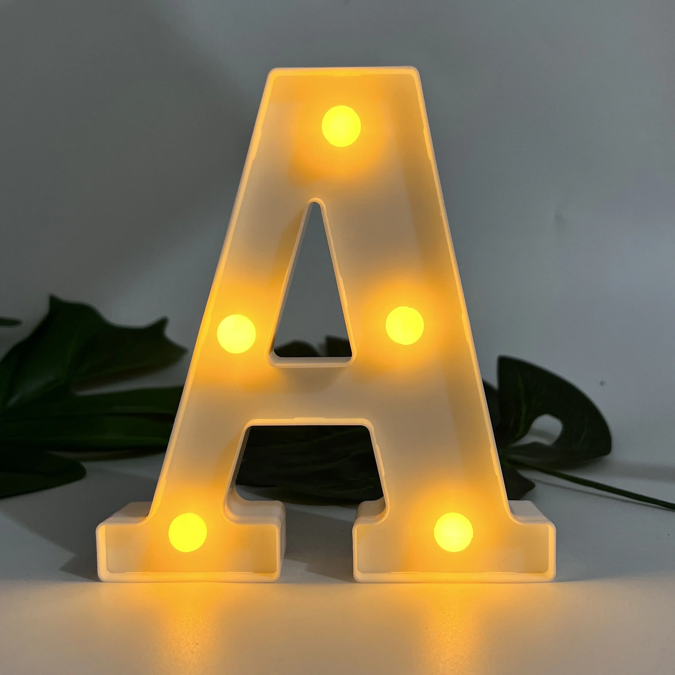 Miniatuur 3