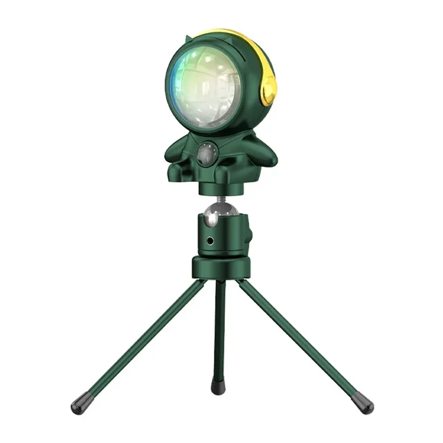 Miniatuur 6