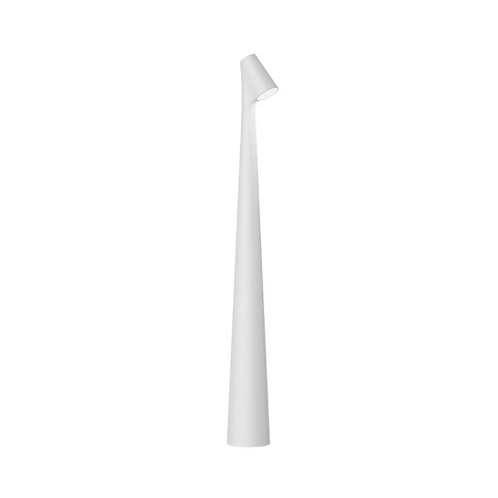 Miniatuur 10