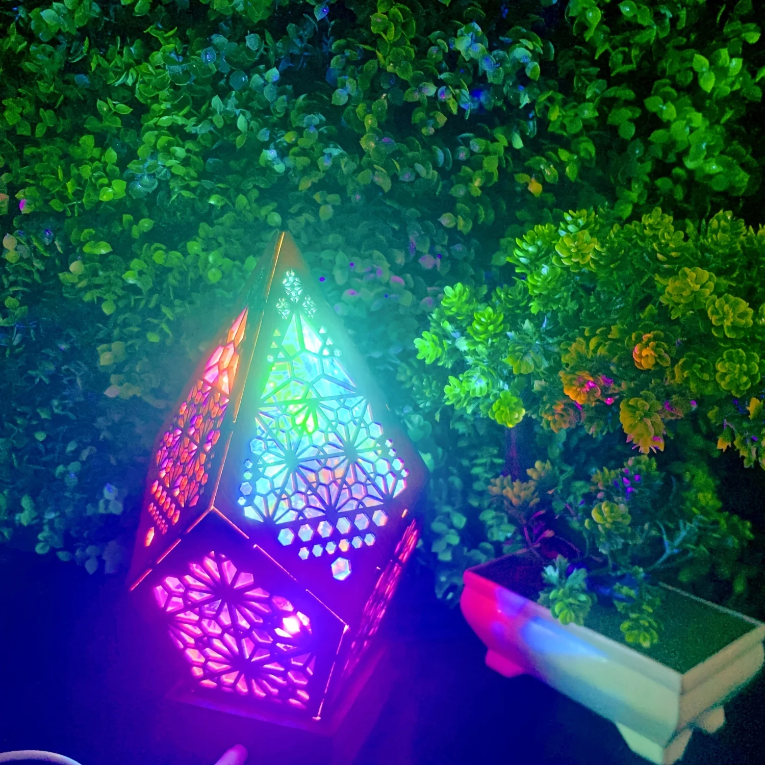 Miniatuur 3