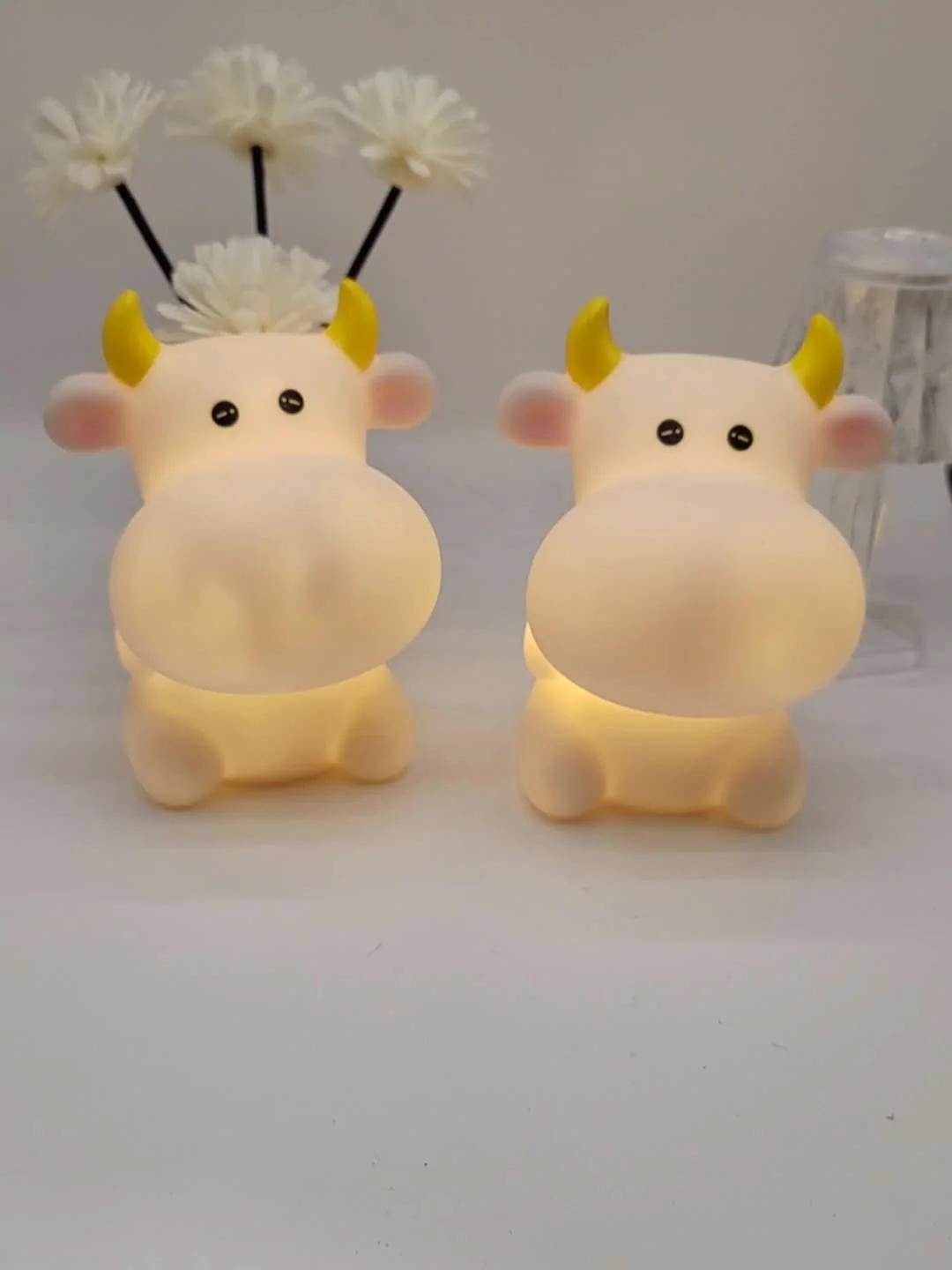 Miniatuur 9