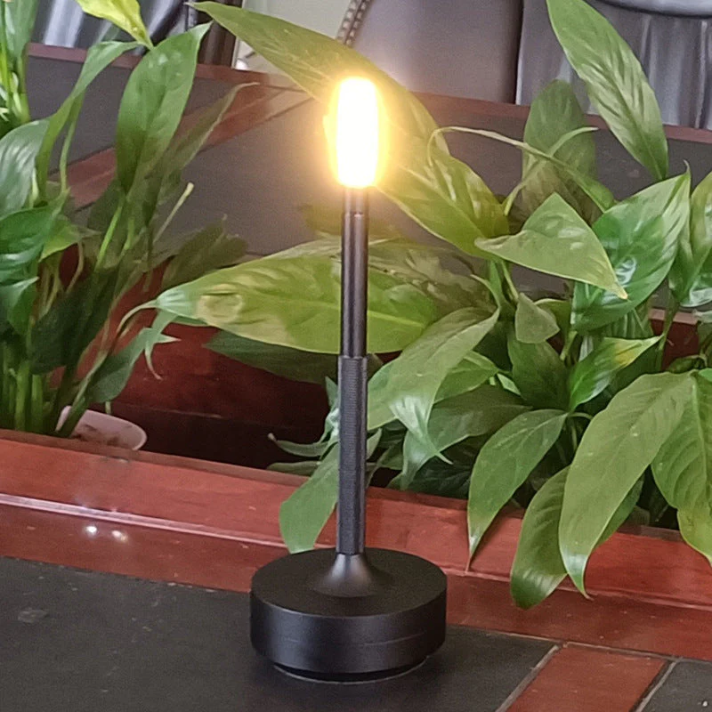 Miniatuur 2