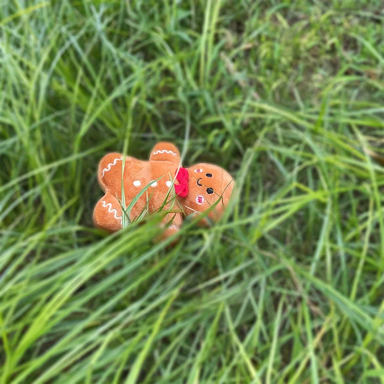 Miniatuur 8