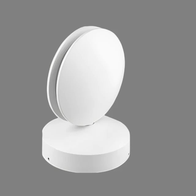 Miniatuur 6