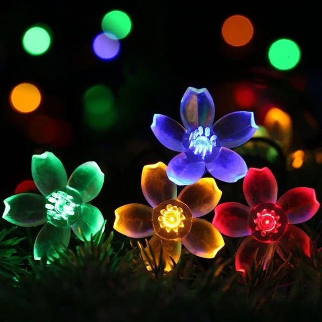 Miniatuur 3