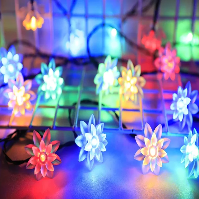 Miniatuur 7