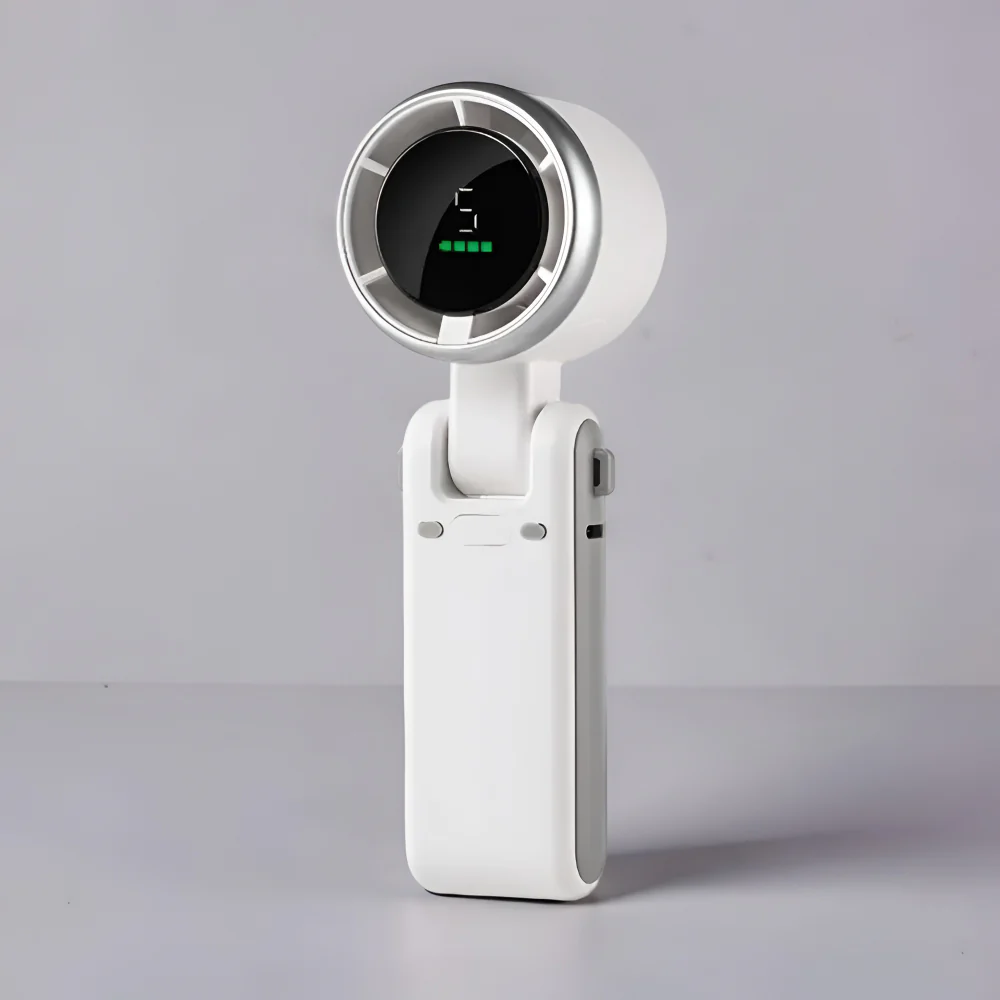 Miniatuur 2