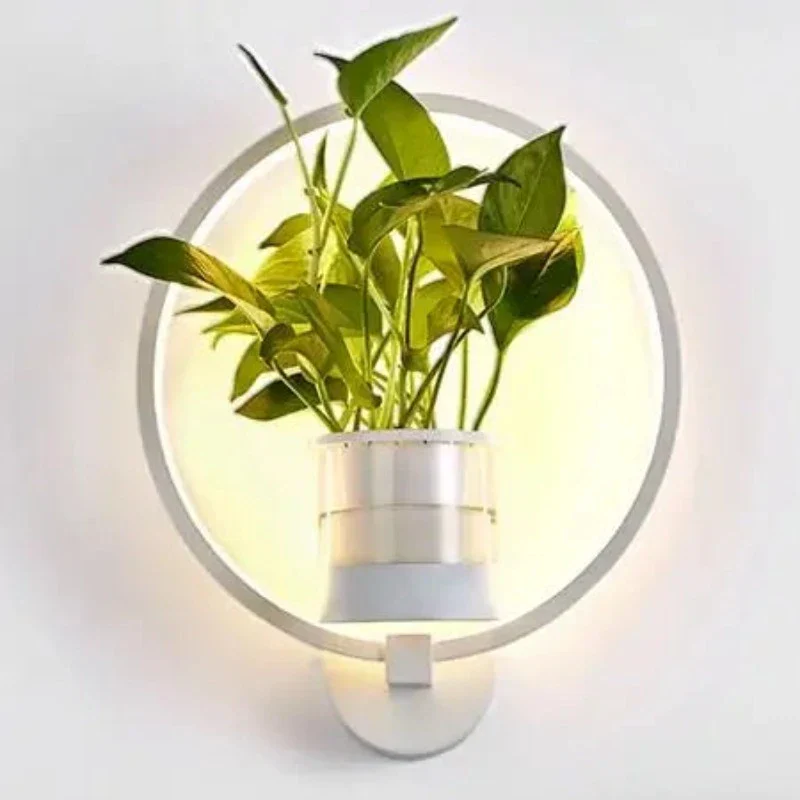 Miniatuur 6