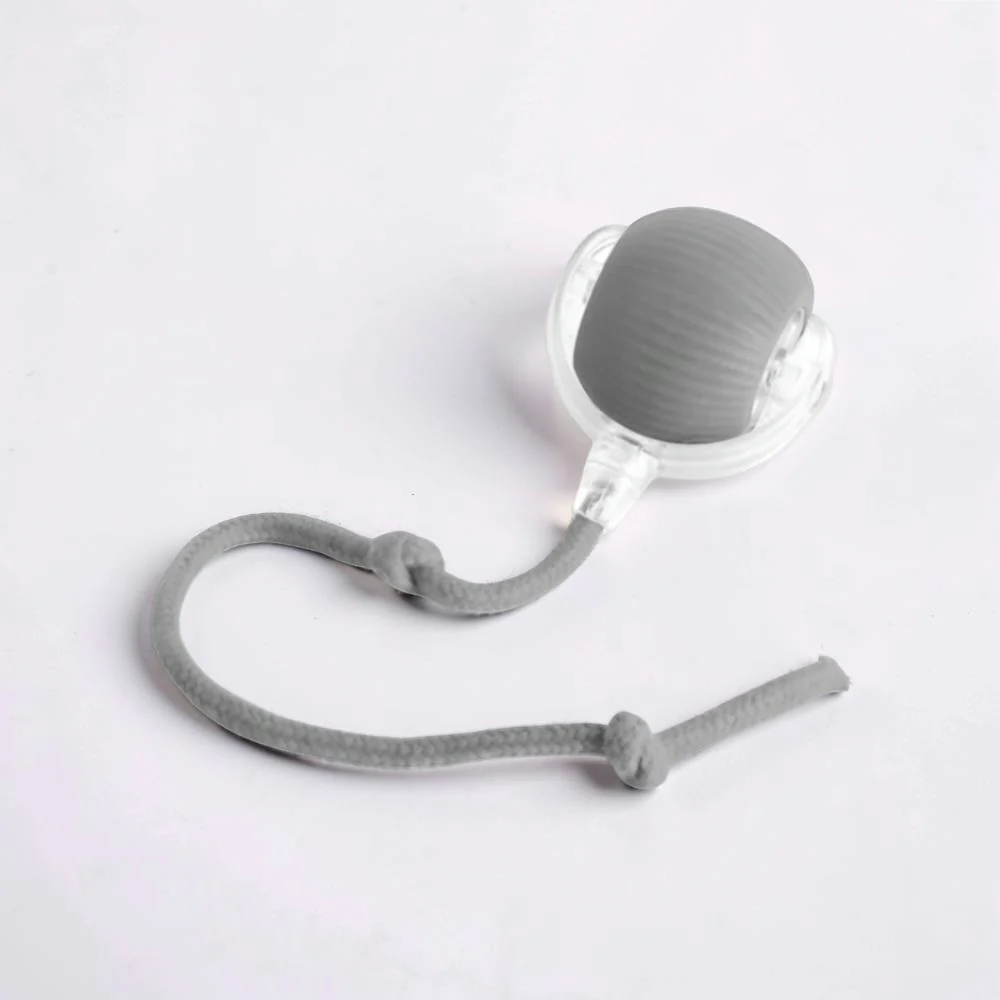 Miniatuur 4