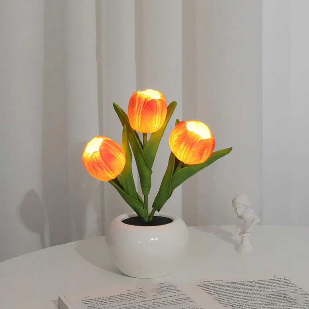 Miniatuur 3