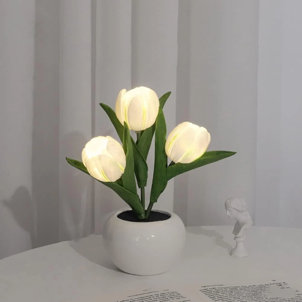 Miniatuur 4