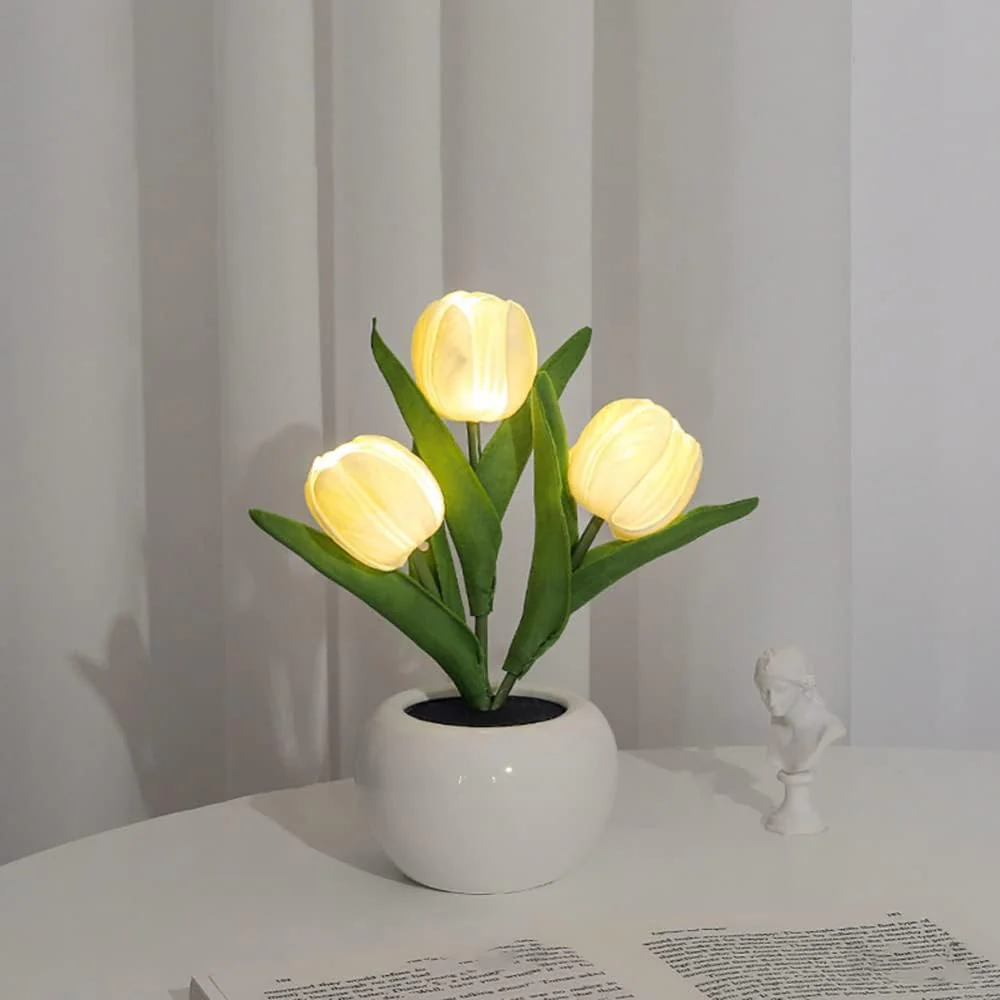 Miniatuur 5