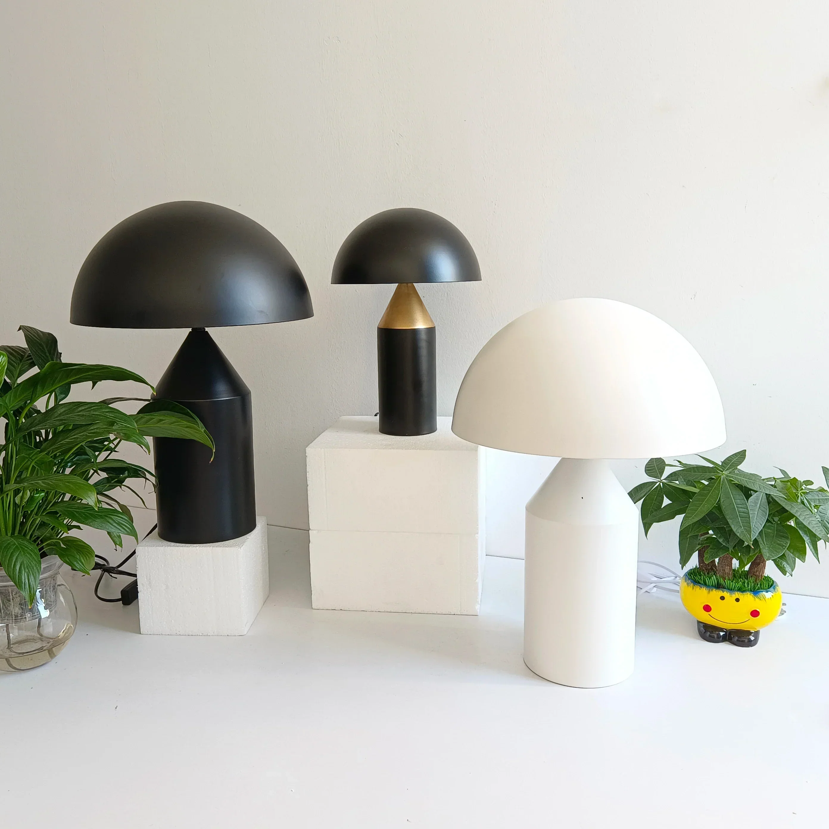 Miniatuur 4
