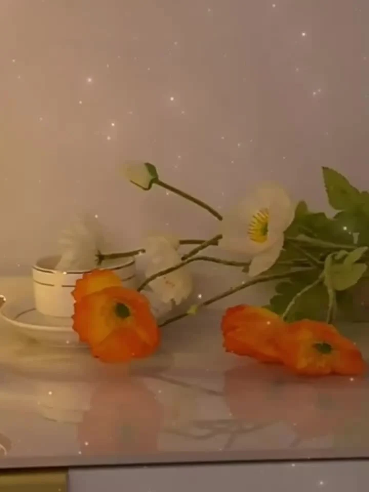 Miniatuur 10