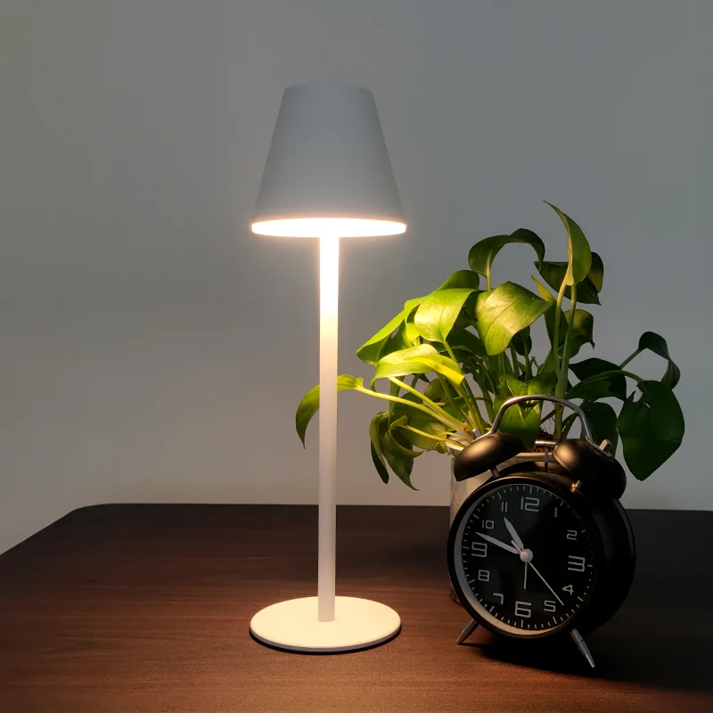 Miniatuur 3