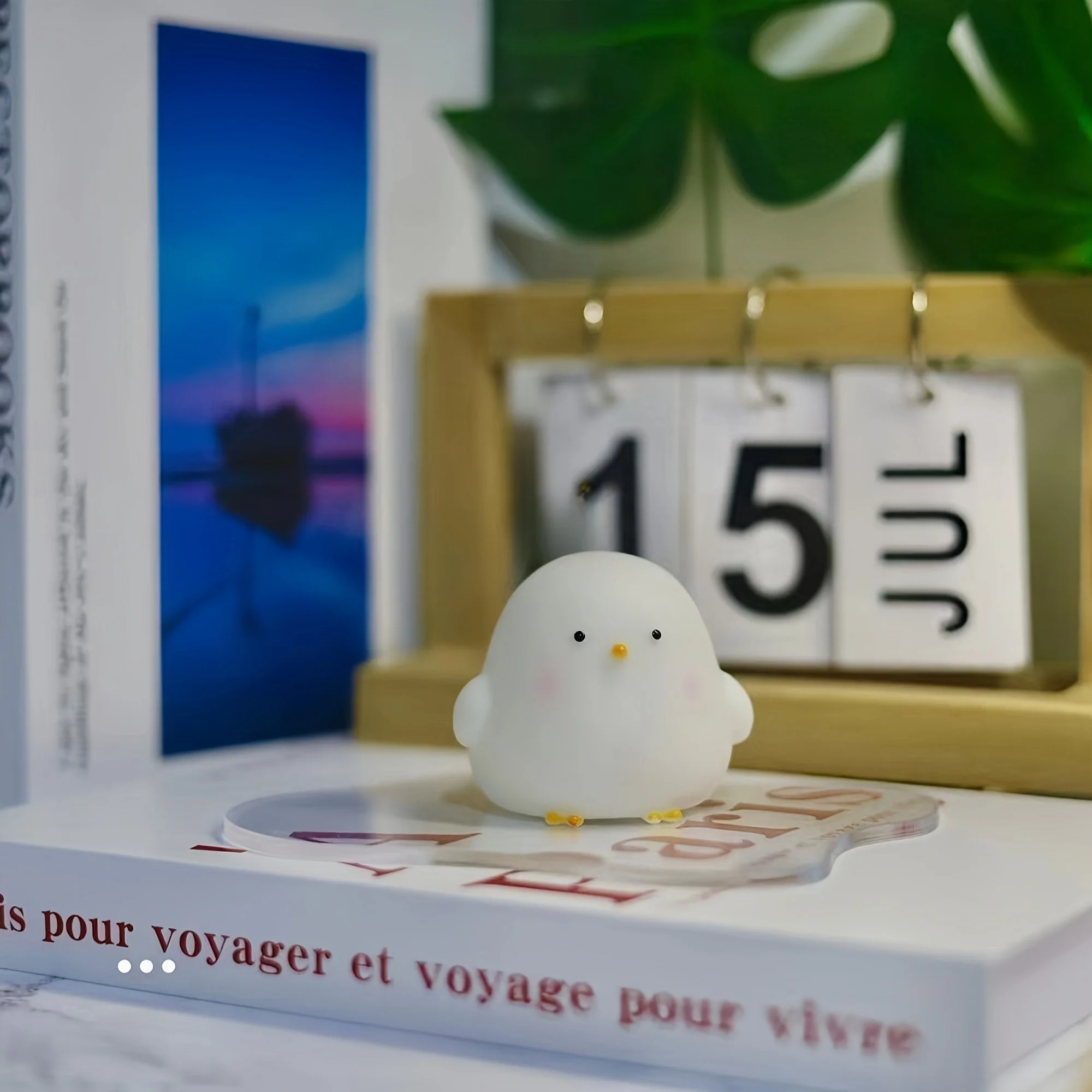 Miniatuur 10