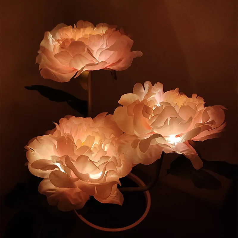 Miniatuur 3