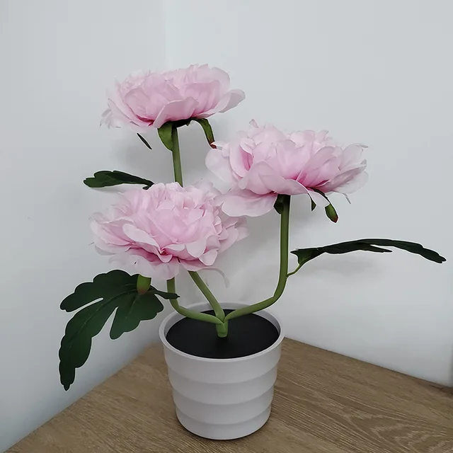 Miniatuur 4