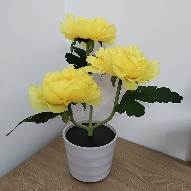 Miniatuur 5