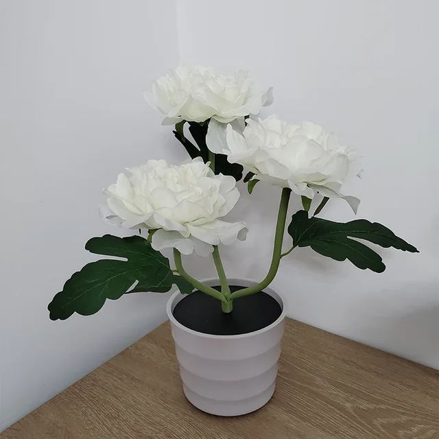 Miniatuur 6