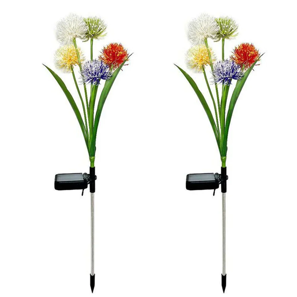 Miniatuur 2
