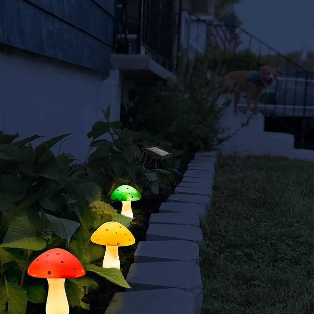 Miniatuur 3