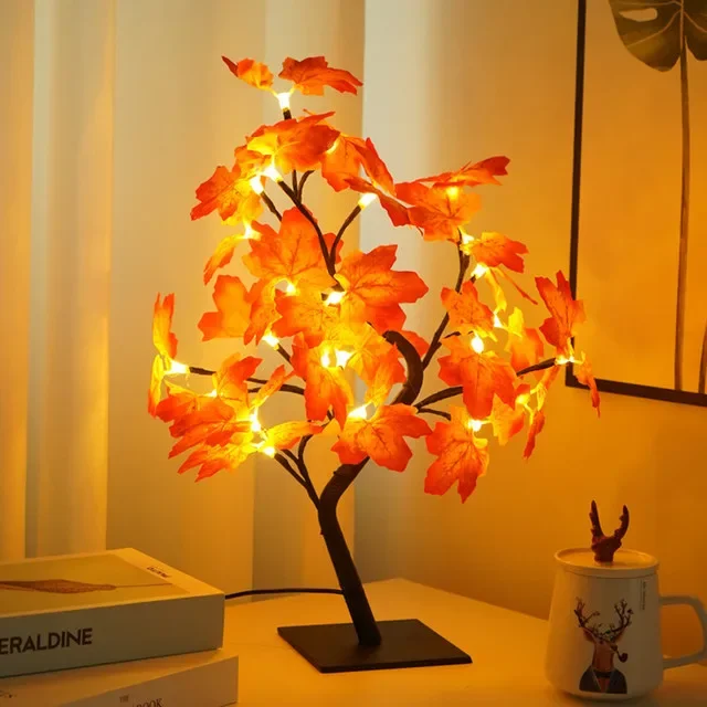 Miniatuur 3