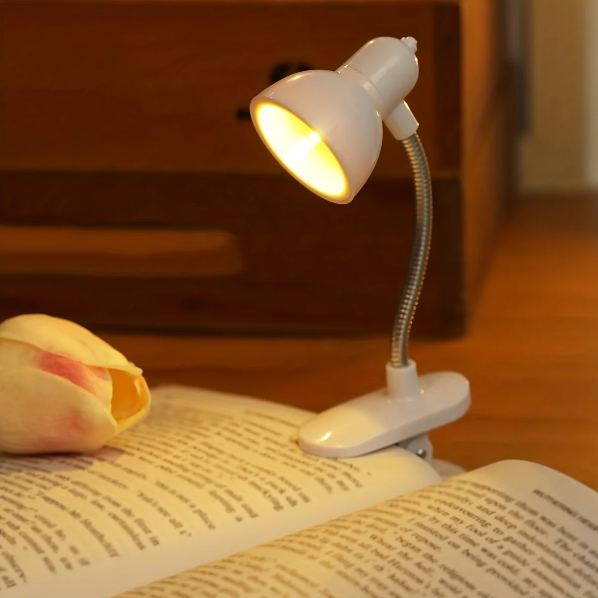 Miniatuur 11