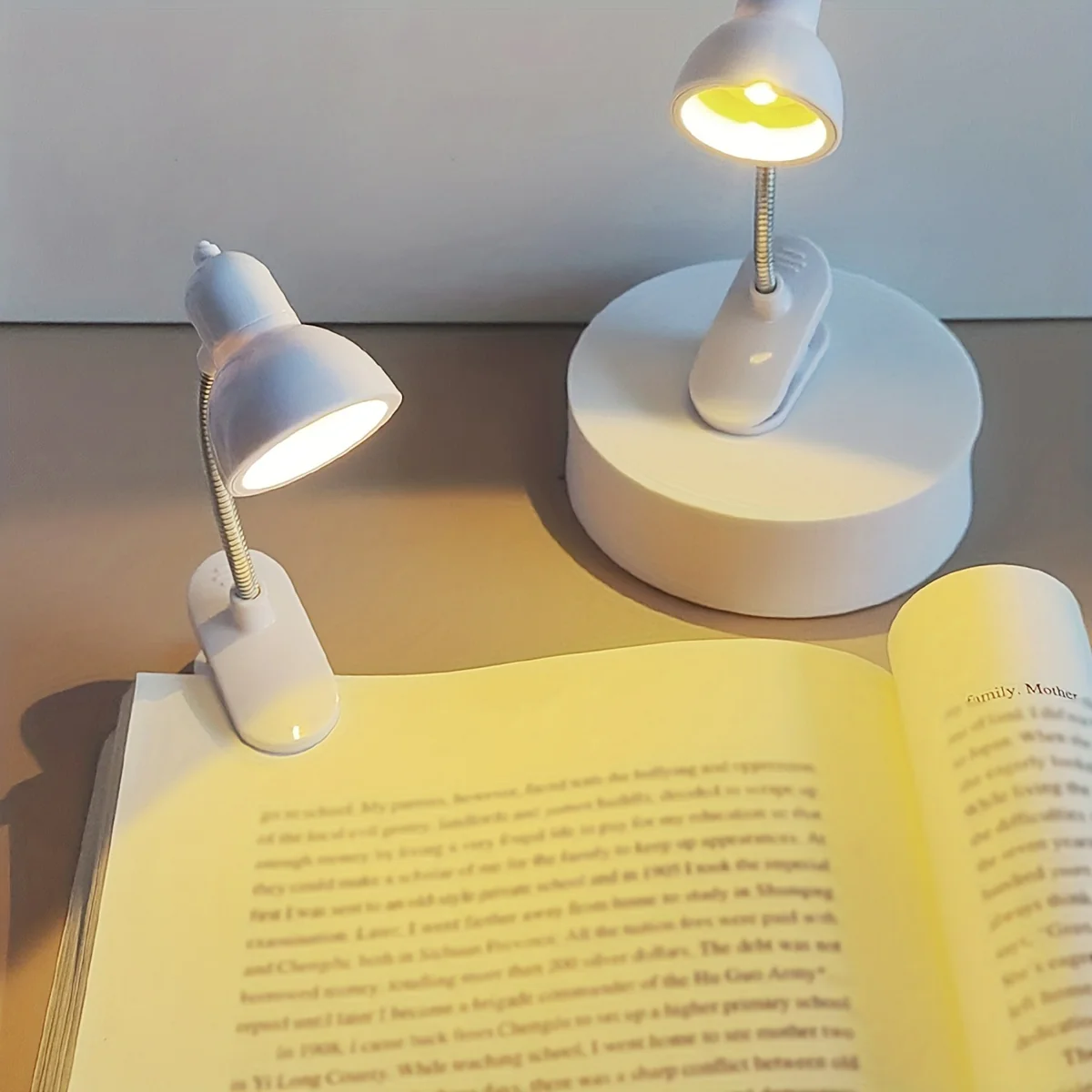 Miniatuur 2