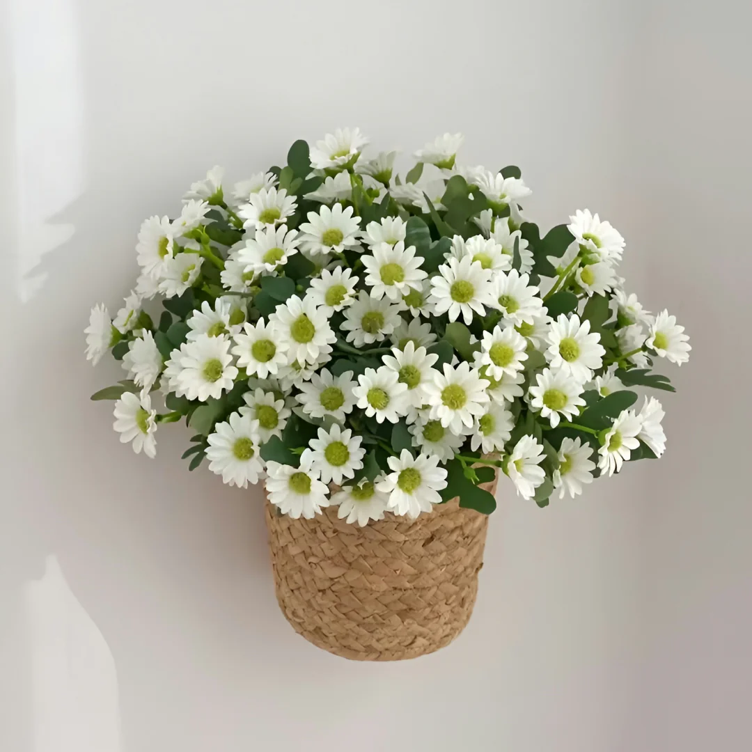 Miniatuur 10