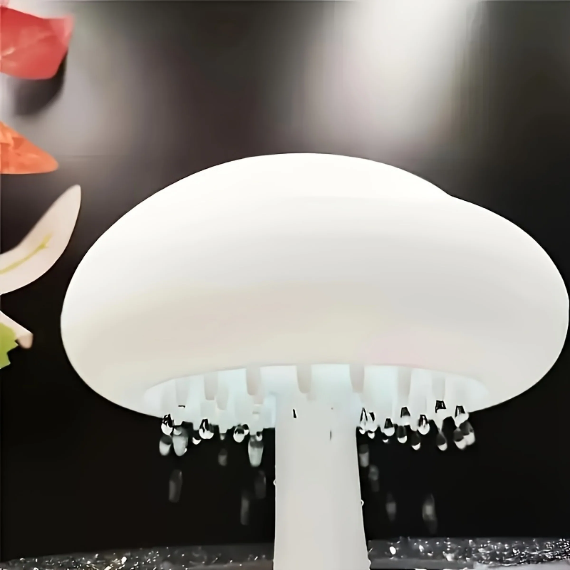 Miniatuur 8