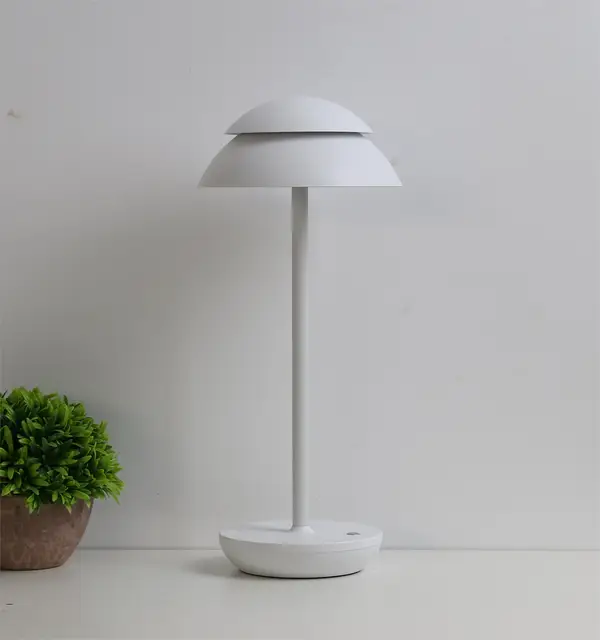 Miniatuur 3