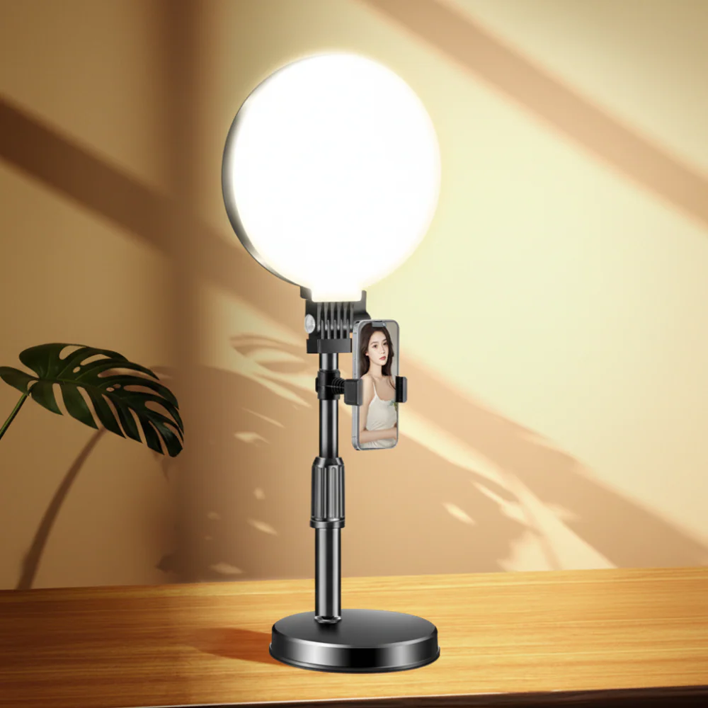 Miniatuur 2