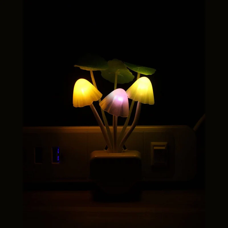 Miniatuur 5