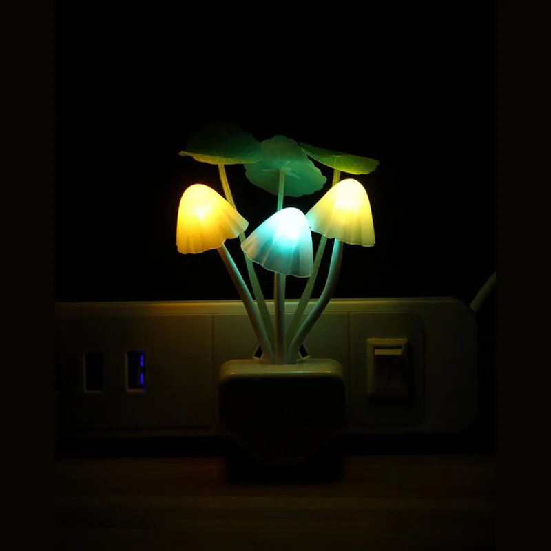 Miniatuur 8