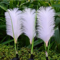 Miniatuur 3