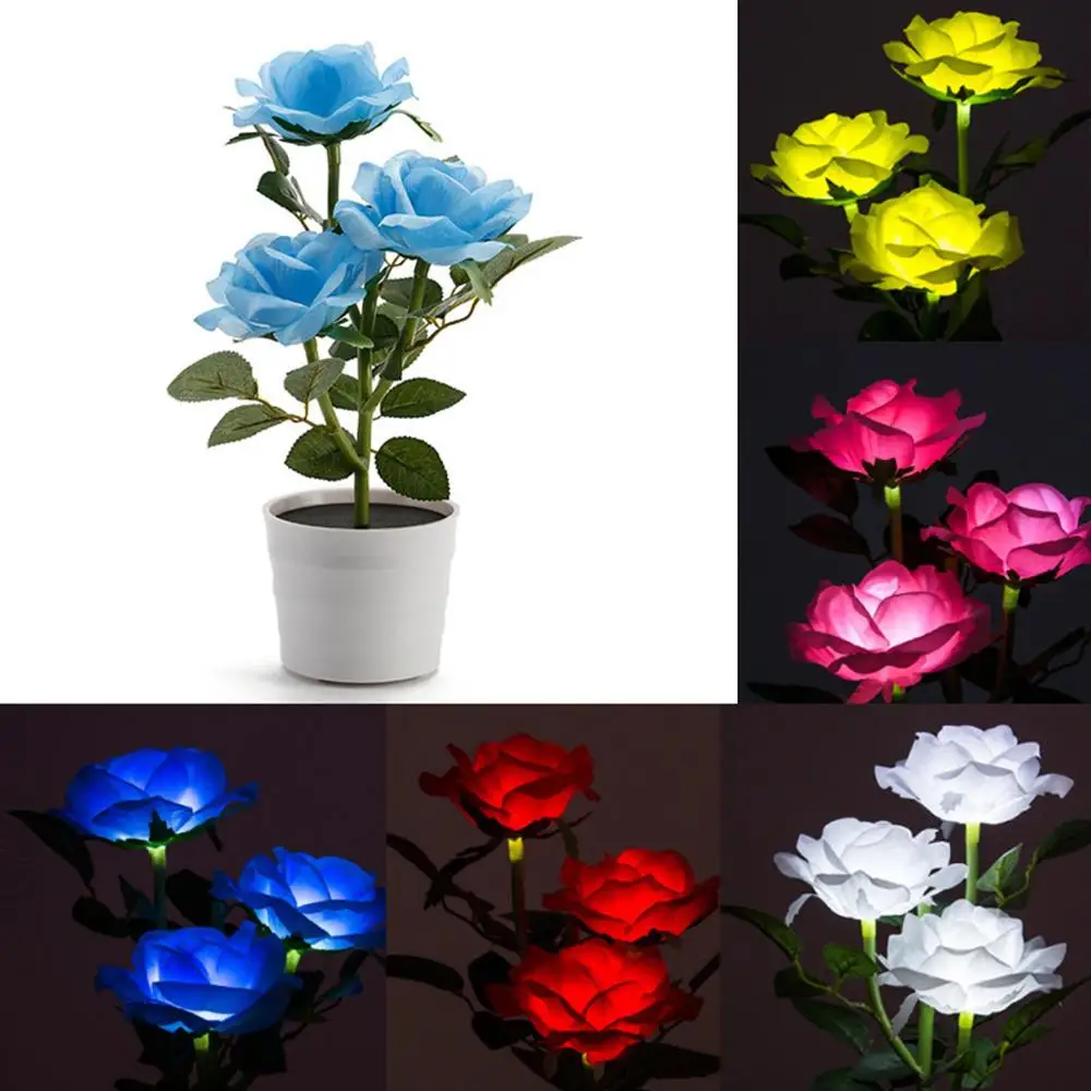 Miniatuur 4