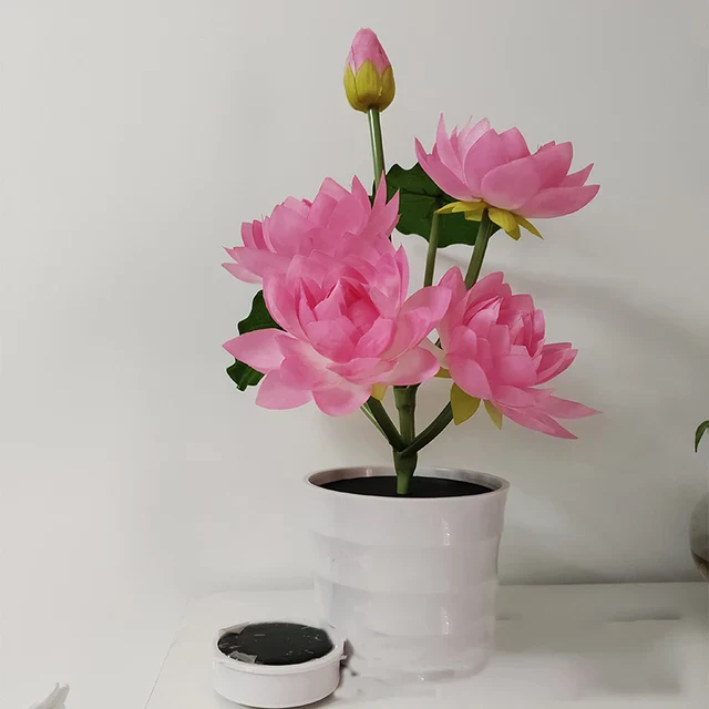 Miniatuur 5
