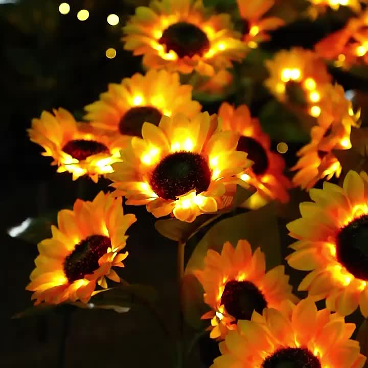 Miniatuur 11