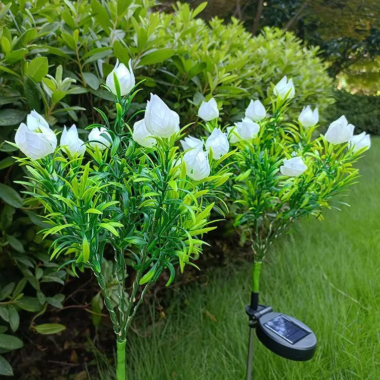 Miniatuur 3