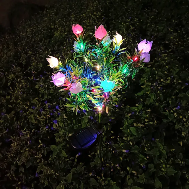 Miniatuur 5