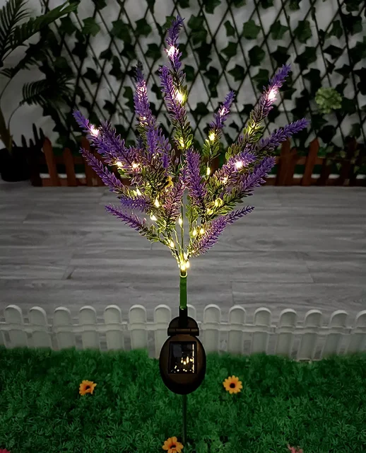 Miniatuur 4
