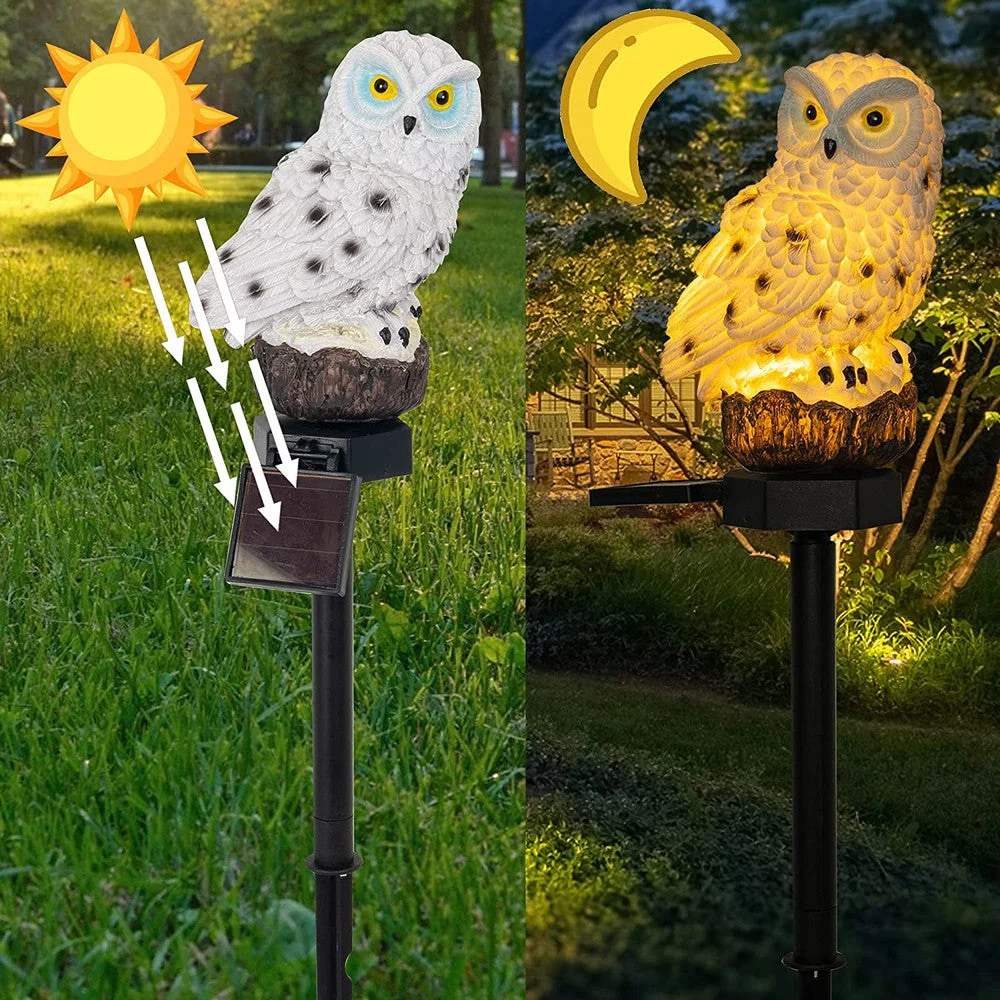 Miniatuur 4