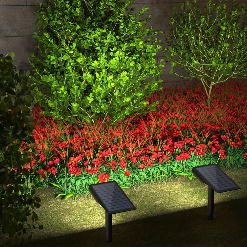 Miniatuur 14