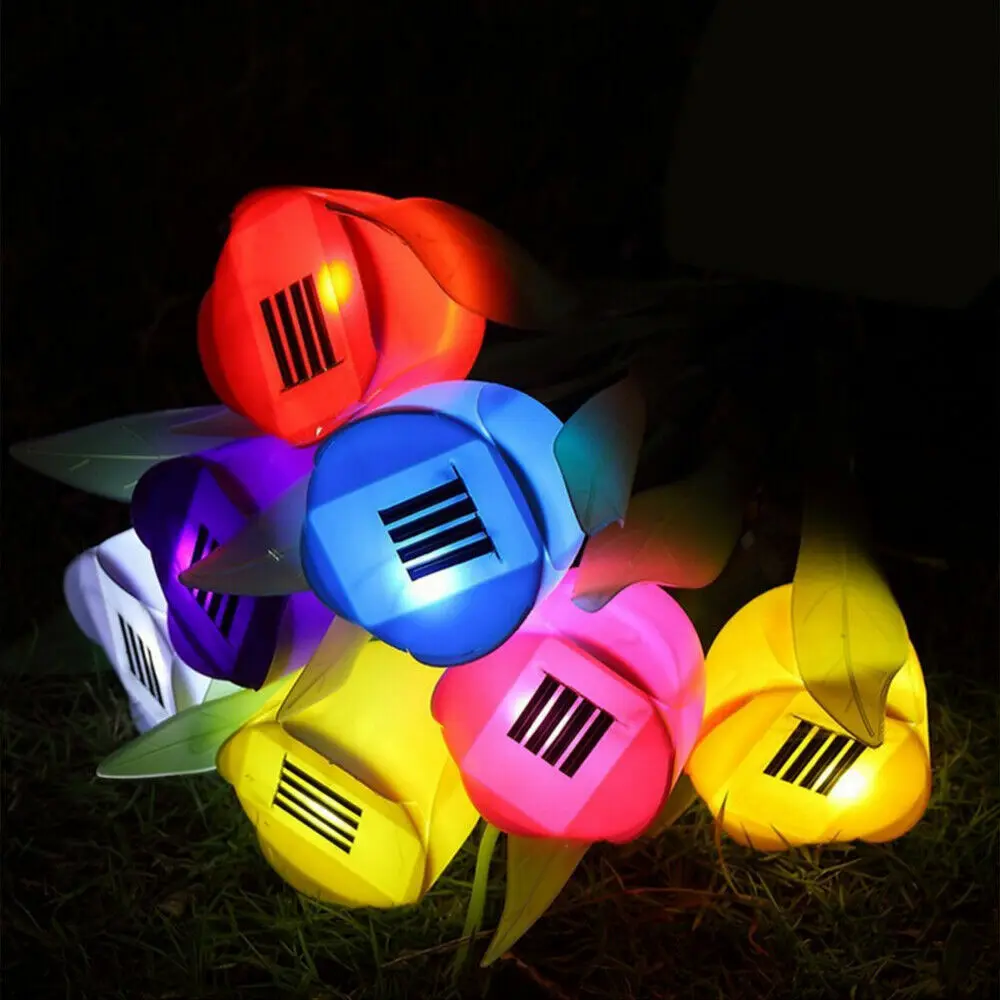 Miniatuur 4