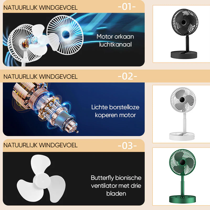 Miniatuur 10