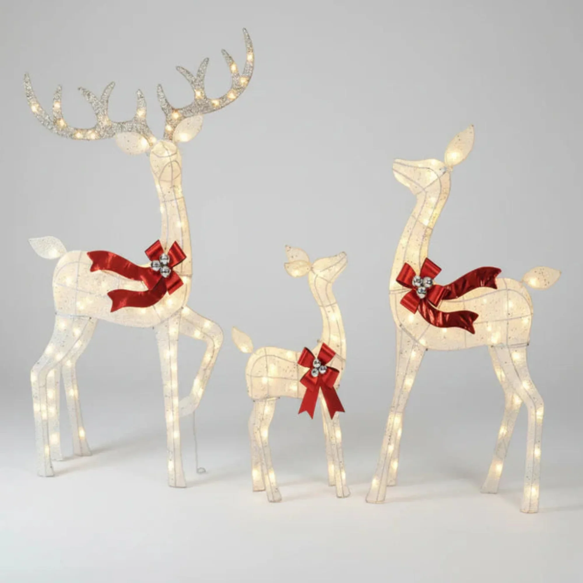 Miniatuur 6