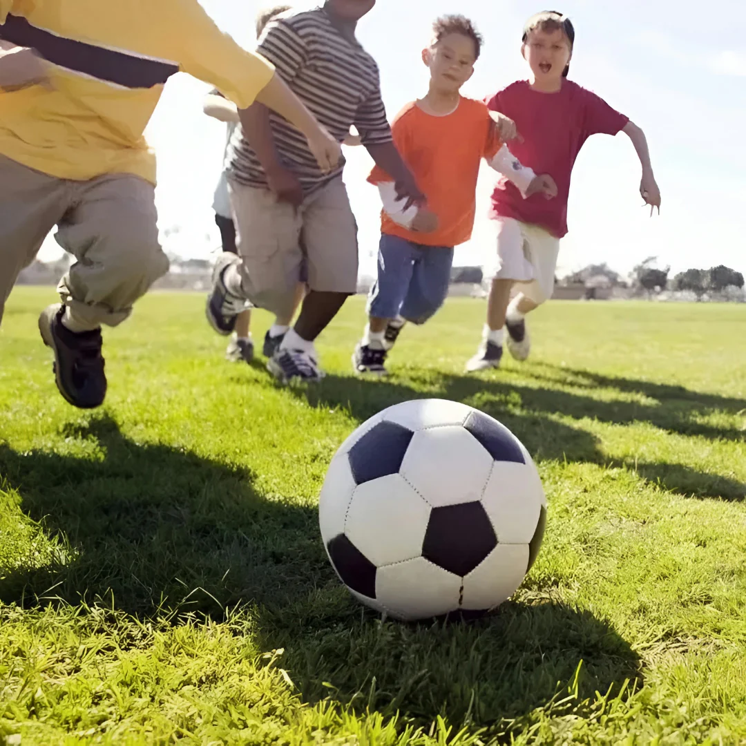 Miniatuur 2