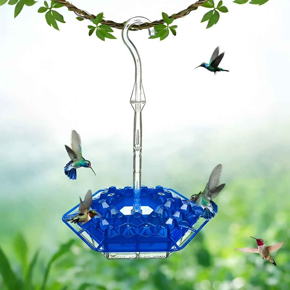 Miniatuur 5