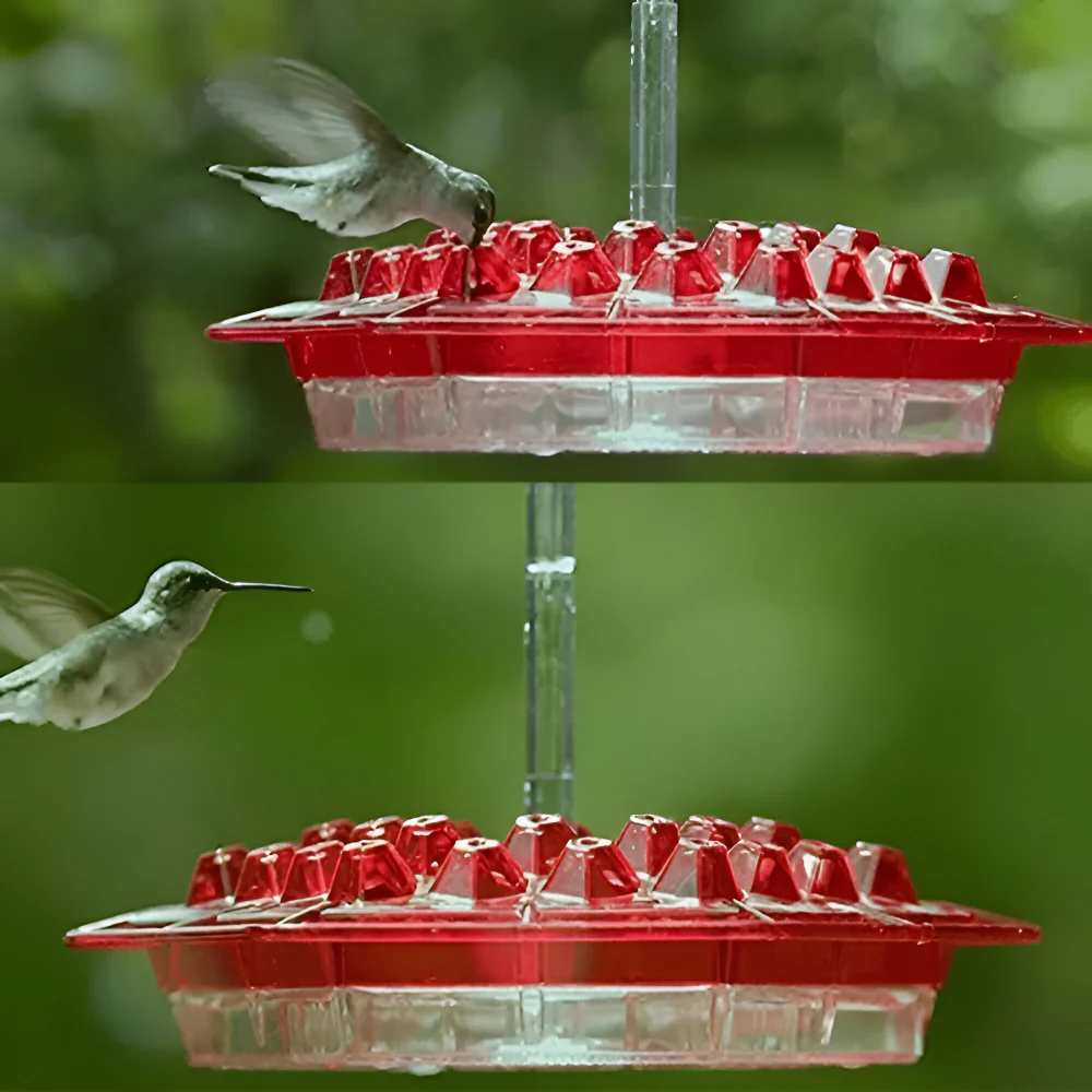 Miniatuur 6